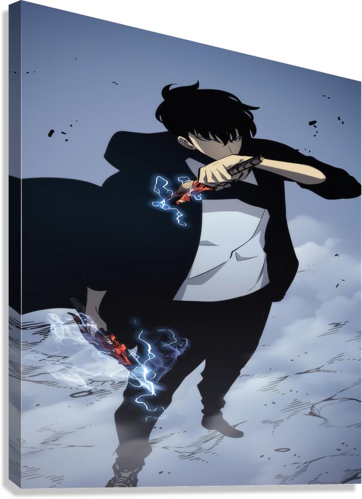 solo leveling Canvas Print