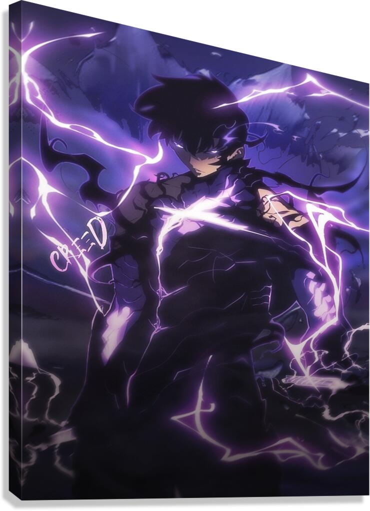 solo leveling Canvas Print
