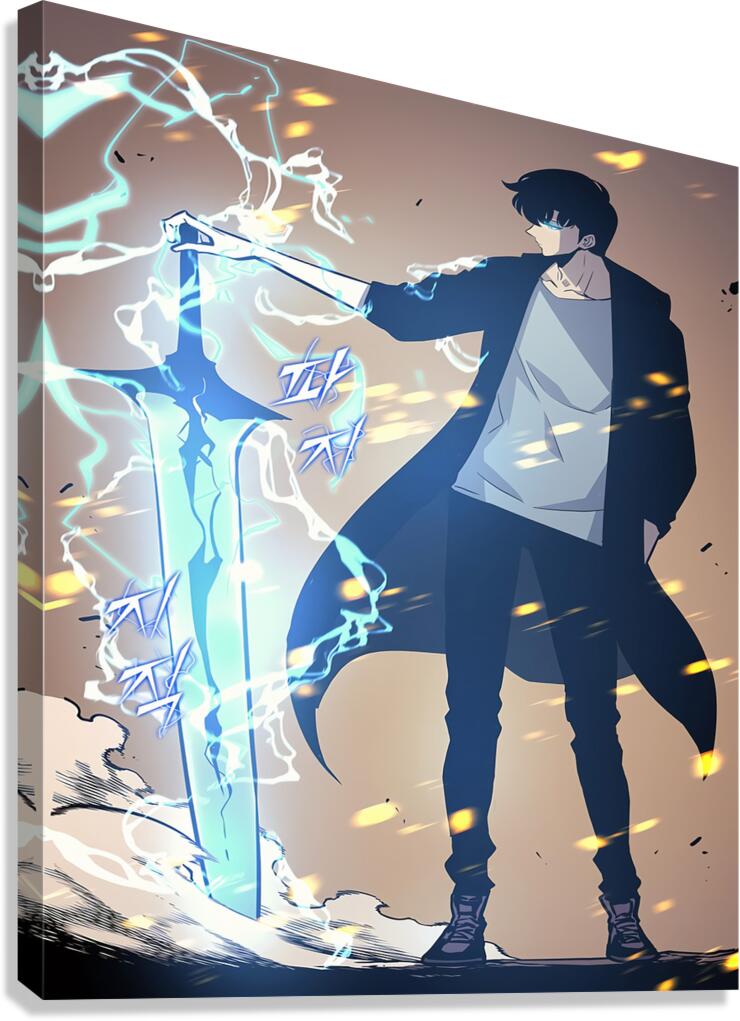 solo leveling Canvas Print