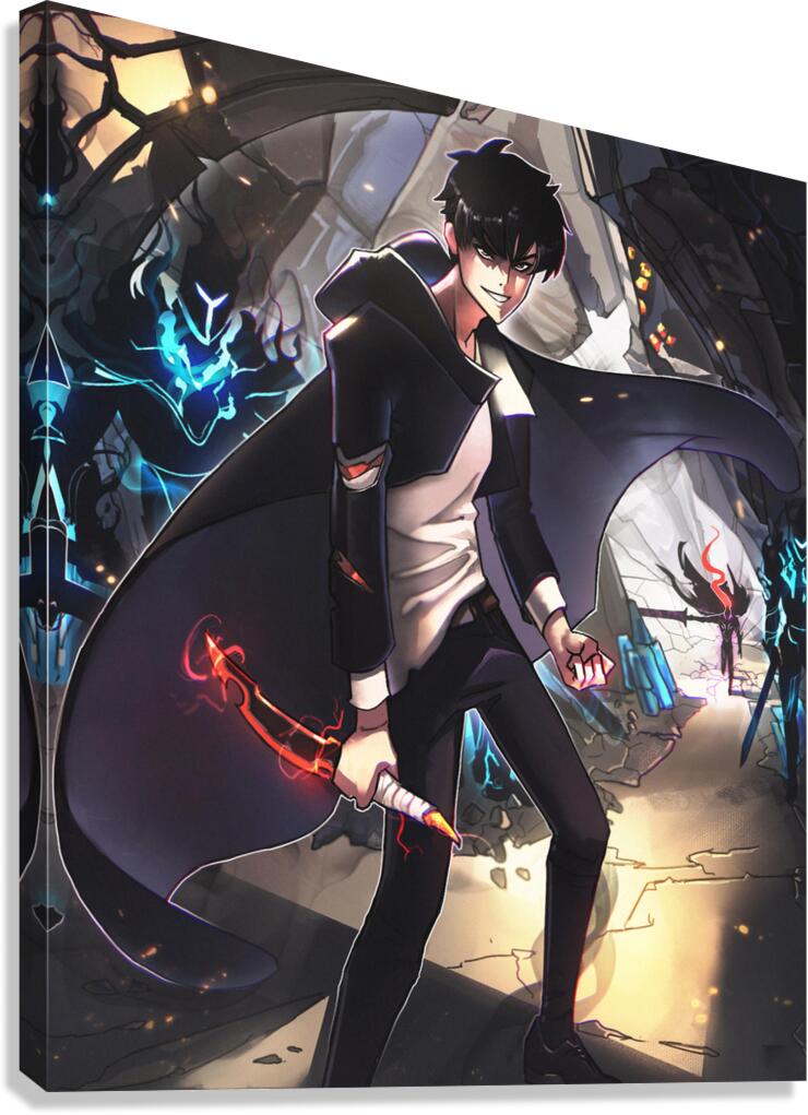 solo leveling Canvas Print