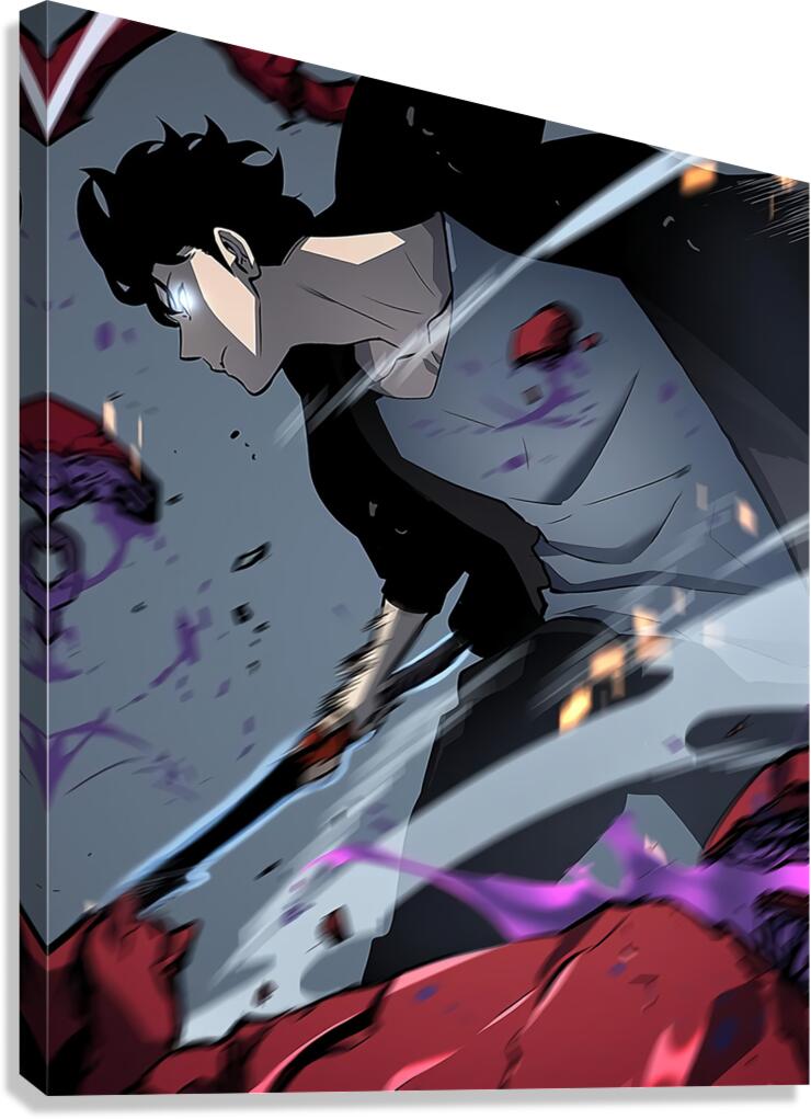 solo leveling Canvas Print