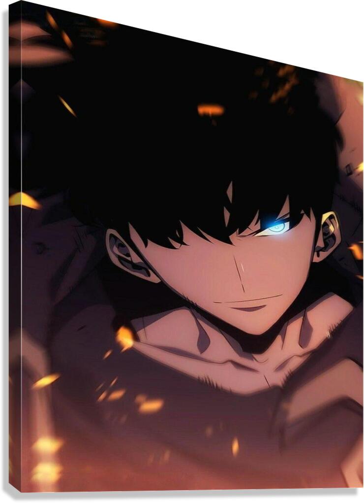 solo leveling Canvas Print