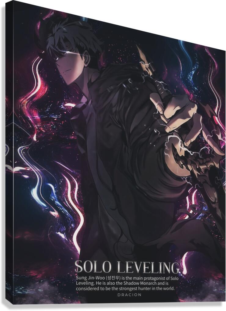 solo leveling Canvas Print