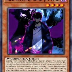 solo leveling