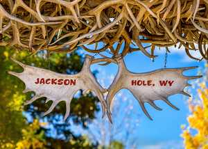 Jackson Hole Wyoming