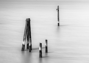 Old Wooden Pilings