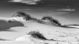 White Sand Dunes National Park B W