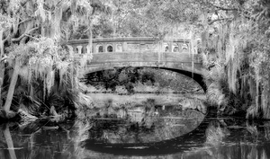 Car Bridge City Park NOLA