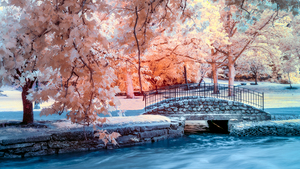 Nutley Memorial Park Infrared Faux Color