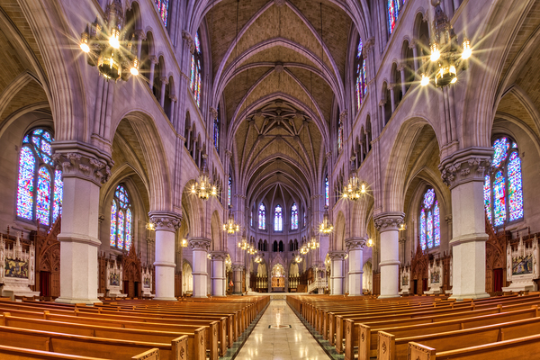Cathedral Basilica of the Sacred Heart 1 Print