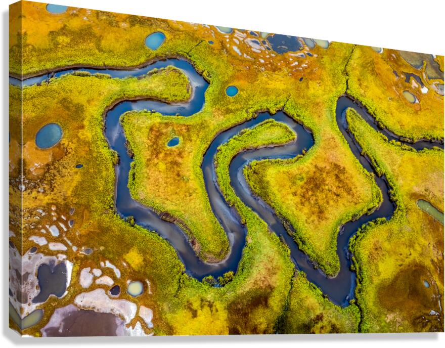 Meandering Stream Canvas Print