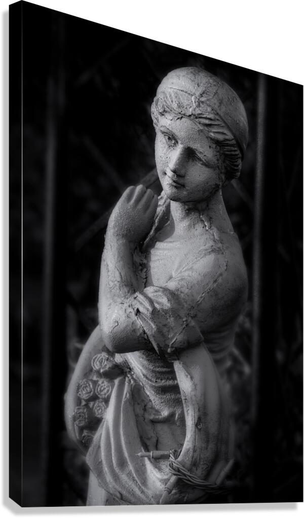 Statue No. 2 Canvas Print