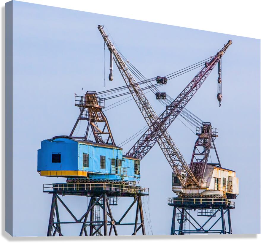 Giants Canvas Print