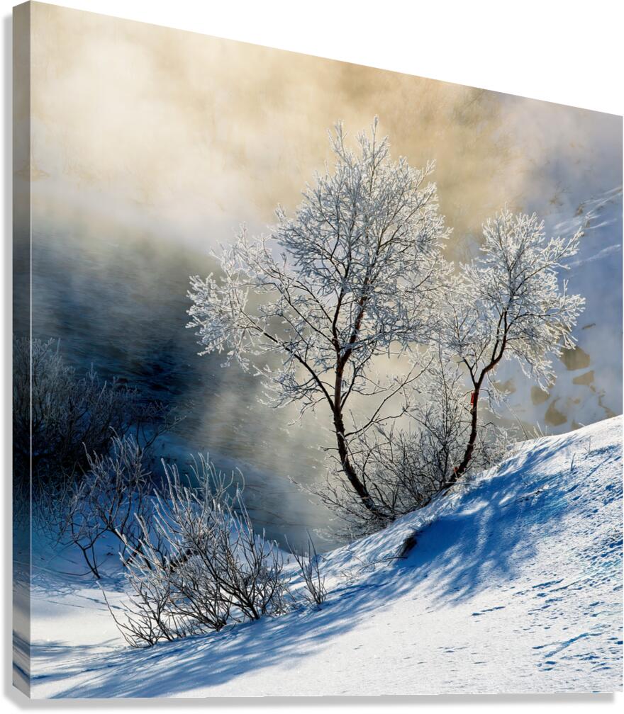 Frost Canvas Print