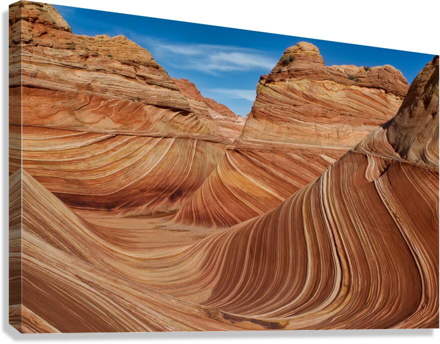 The Wave Canvas Print