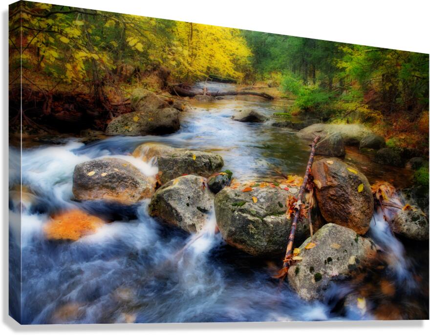 Coxing Kill  Canvas Print