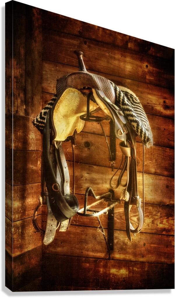 Saddle Canvas Print