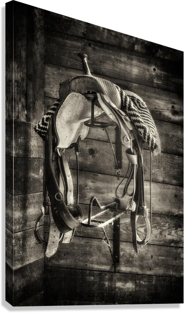 Saddle B W Canvas Print