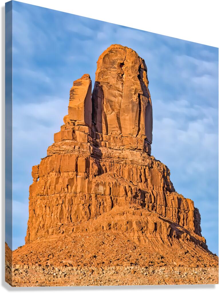 Owl Rock Canvas Print