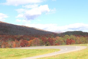 Bend in the road 