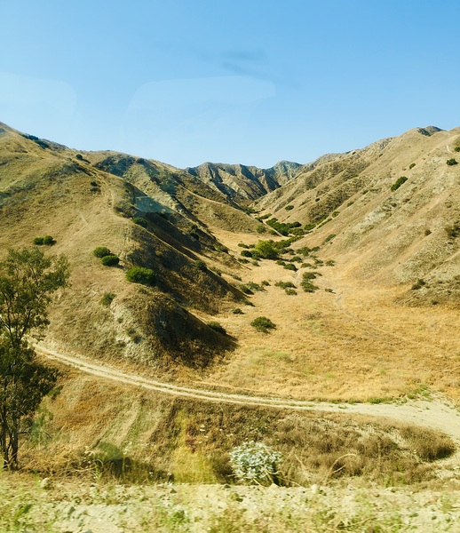 Golden Hills of California  by Snap In Motion 