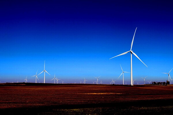 Guardians of the Wind  by Snap In Motion 