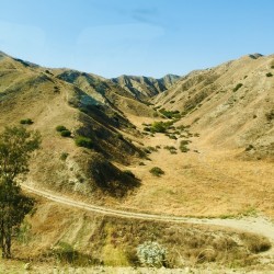 Golden Hills of California 