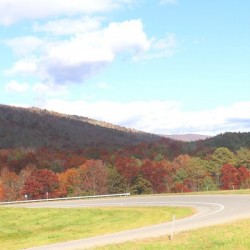 Bend in the road 