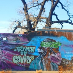 Message on the wall 