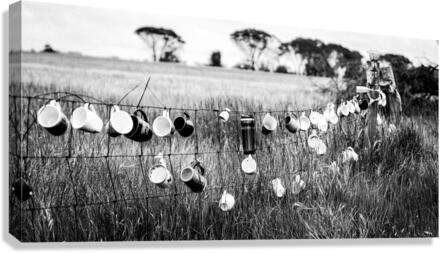 Cups Anyone Canvas Print