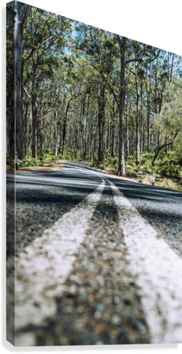 Road To Canvas Print