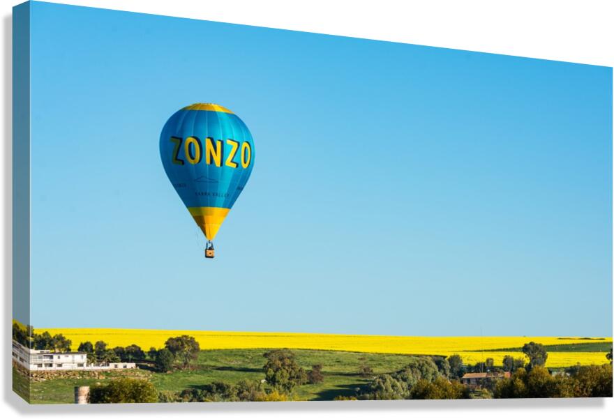 Alone Canvas Print