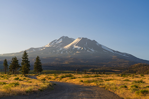  Mount Shasta at dawn summer colors