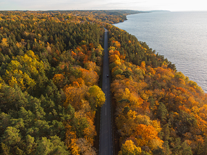 Autumn road in Sweden from above with vibrant colors