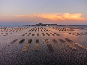 Oyster fields in France from above at sunset near Sete village
