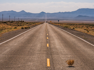 Tumbling tumbleweed on a lonely road in southwestern USA