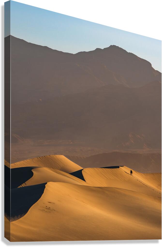 Death Valley USA. Man vs Sand dune Canvas Print