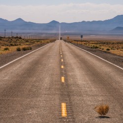  Tumbling tumbleweed on a lonely road in southwestern USA