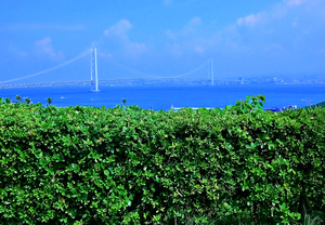 Japan-NP - Awaji Hanasajiki Bridge 02