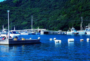 Japan-SE - The boat parking area 2