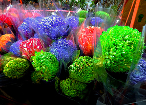 HK-BO-Colorful Hydrangea for Sale in Hong Kong