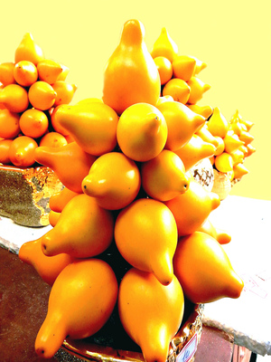 HK-BO-Yellow Solanum in Hong Kong