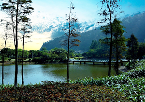 China-NP - Nansha Phoenix Lake Park 05