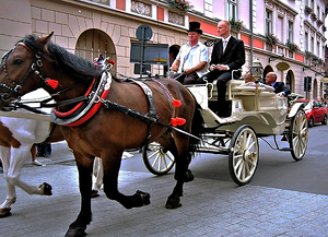 EU-CI-Busy Street with Horse Cart in Warsaw 03