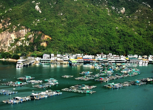 HK-FV-Fishing Boats and Villages in Lamma Island 02