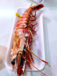 Japan-FD - Large piece of Fried Pawn