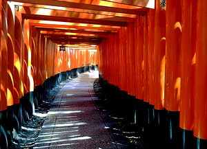 Japan-Walkway to the Temple 17