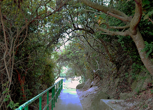 HK-FV-Way to the River side at Lamma Island