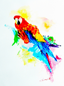 ZW-The Colorful Bird