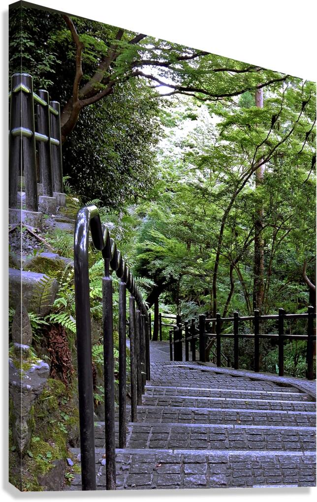 Japan-TA - Stairs to the Temple Canvas Print